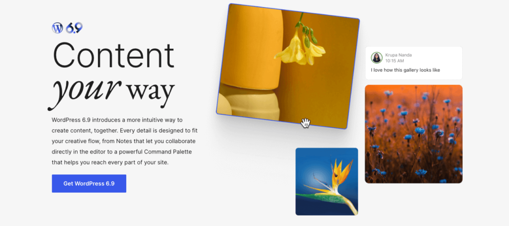 wordpress 6.9 overview